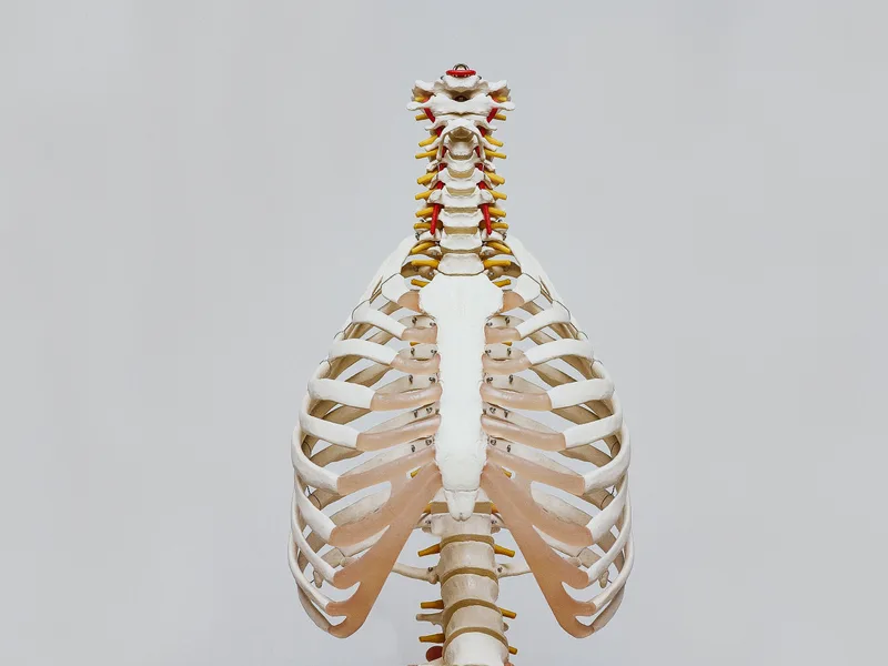 How X-Rays works at Honolulu Pain Relief Center